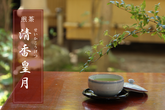 煎茶 清香皇月