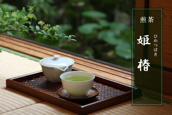煎茶 姫椿